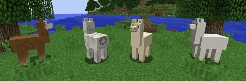 How to Ride a Llama in Minecraft - First you have to find one.